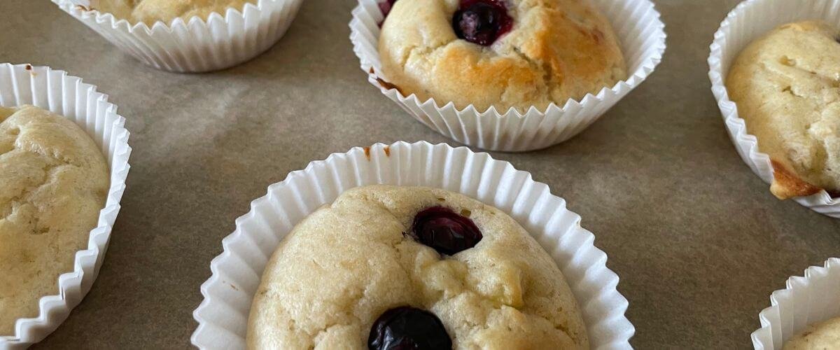 blåbærmuffins til baby